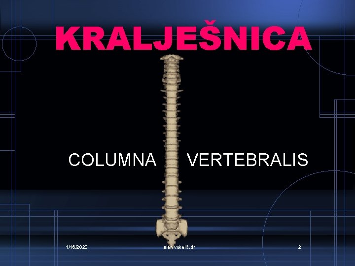 KRALJEŠNICA COLUMNA 1/16/2022 VERTEBRALIS alen vukelić, dr 2 