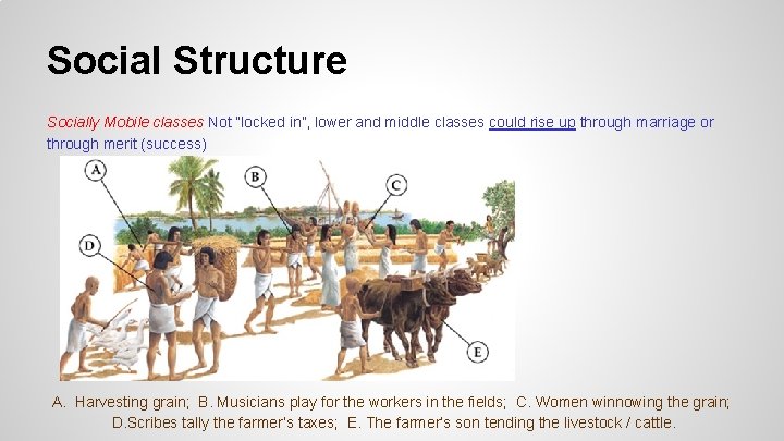 Social Structure Socially Mobile classes Not “locked in”, lower and middle classes could rise