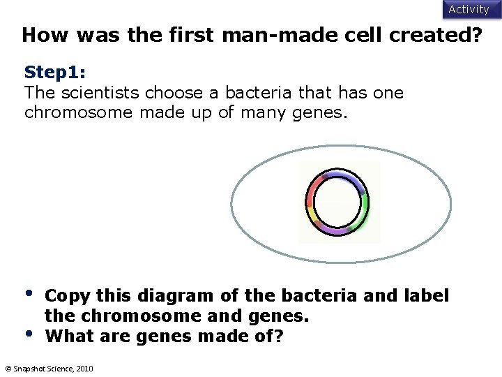 Activity How was the first man-made cell created? Step 1: The scientists choose a