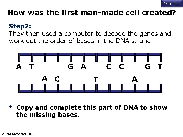 Activity How was the first man-made cell created? Step 2: They then used a