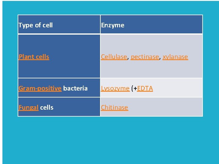 Type of cell Enzyme Plant cells Cellulase, pectinase, xylanase . Type of cells Gram-positive