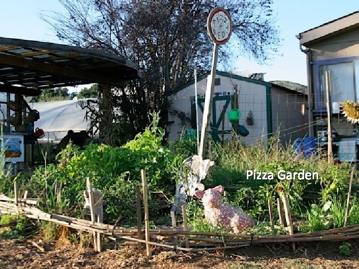 Pizza Garden 
