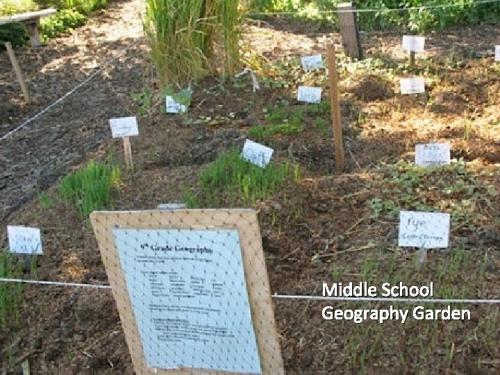 Middle School Geography Garden 