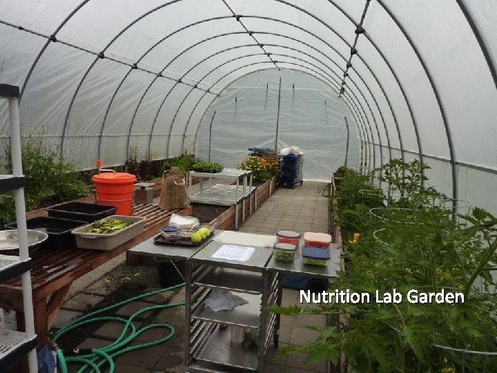Nutrition Lab Garden 