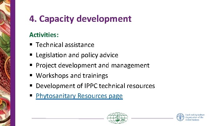 4. Capacity development Activities: § Technical assistance § Legislation and policy advice § Project