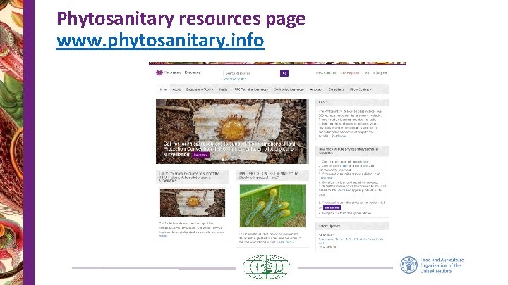Phytosanitary resources page www. phytosanitary. info 