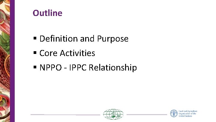 Outline § Definition and Purpose § Core Activities § NPPO - IPPC Relationship 