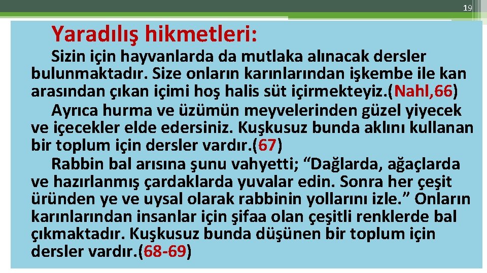 19 Yaradılış hikmetleri: Sizin için hayvanlarda da mutlaka alınacak dersler bulunmaktadır. Size onların karınlarından