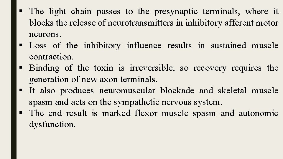 § The light chain passes to the presynaptic terminals, where it blocks the release