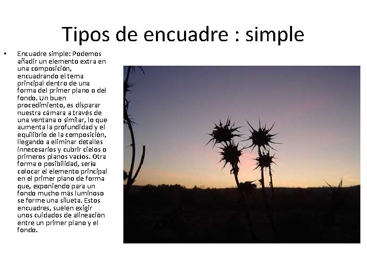 Tipos de encuadre : simple • Encuadre simple: Podemos añadir un elemento extra en