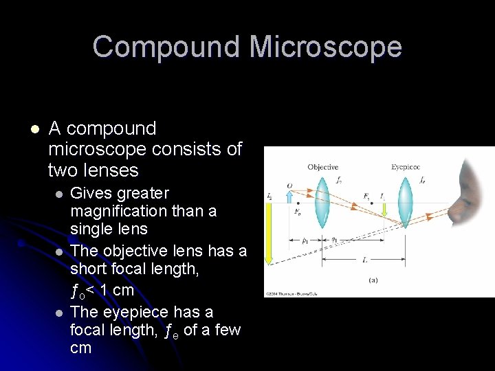 Compound Microscope l A compound microscope consists of two lenses l l l Gives