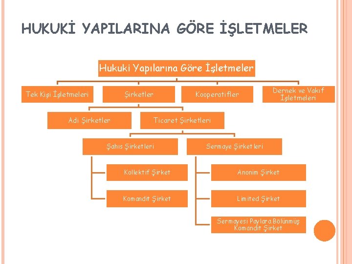 HUKUKİ YAPILARINA GÖRE İŞLETMELER Hukuki Yapılarına Göre İşletmeler Tek Kişi İşletmeleri Şirketler Adi Şirketler