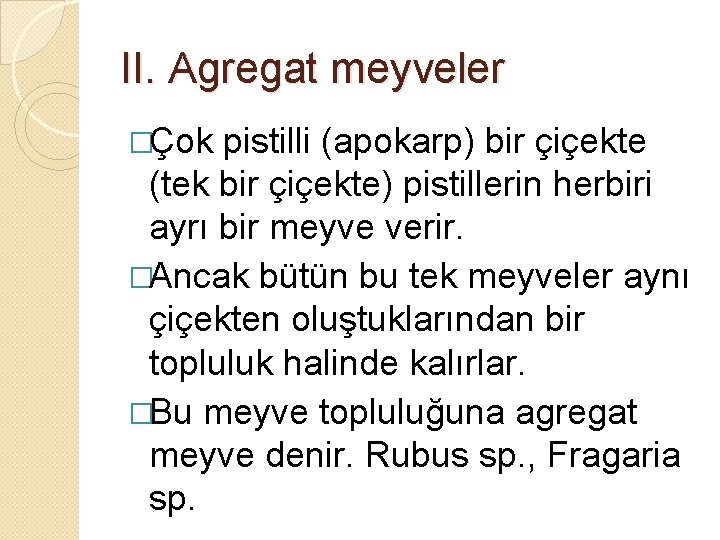 II. Agregat meyveler �Çok pistilli (apokarp) bir çiçekte (tek bir çiçekte) pistillerin herbiri ayrı