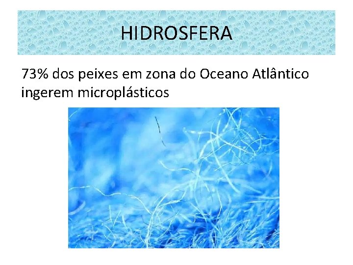 HIDROSFERA 73% dos peixes em zona do Oceano Atlântico ingerem microplásticos 