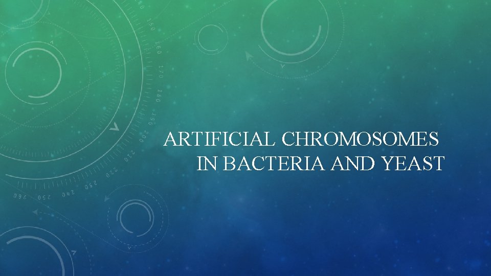 ARTIFICIAL CHROMOSOMES IN BACTERIA AND YEAST 