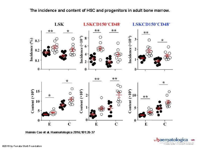 The incidence and content of HSC and progenitors in adult bone marrow. Huimin Cao