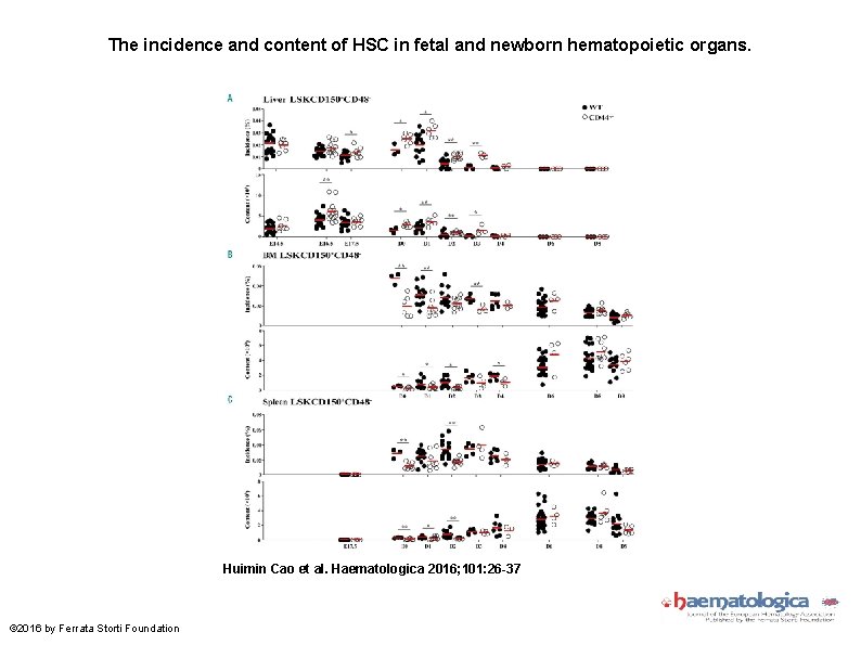 The incidence and content of HSC in fetal and newborn hematopoietic organs. Huimin Cao