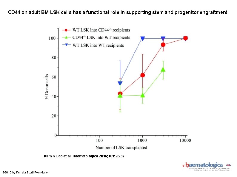 CD 44 on adult BM LSK cells has a functional role in supporting stem