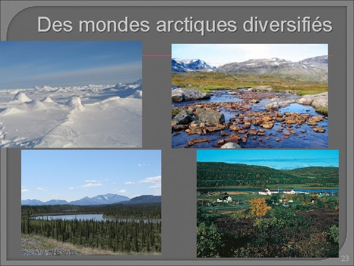 Des mondes arctiques diversifiés 23 