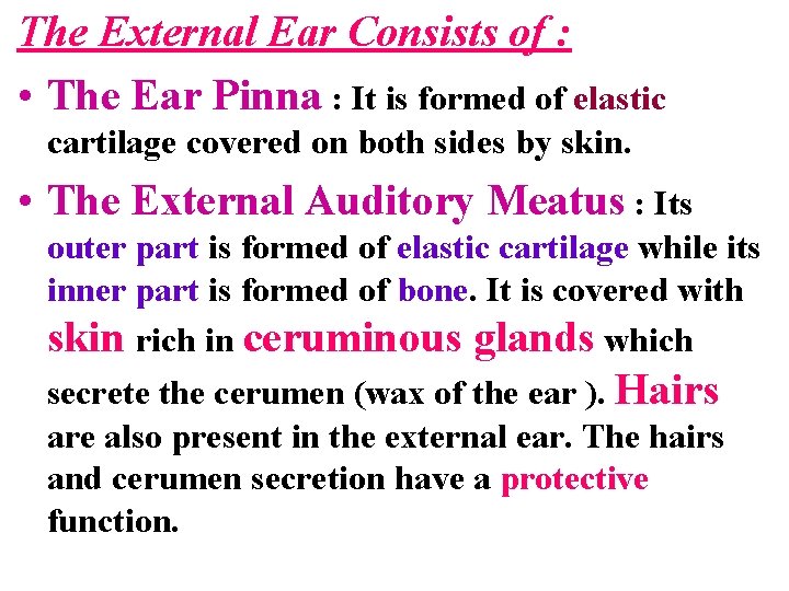 The External Ear Consists of : • The Ear Pinna : It is formed