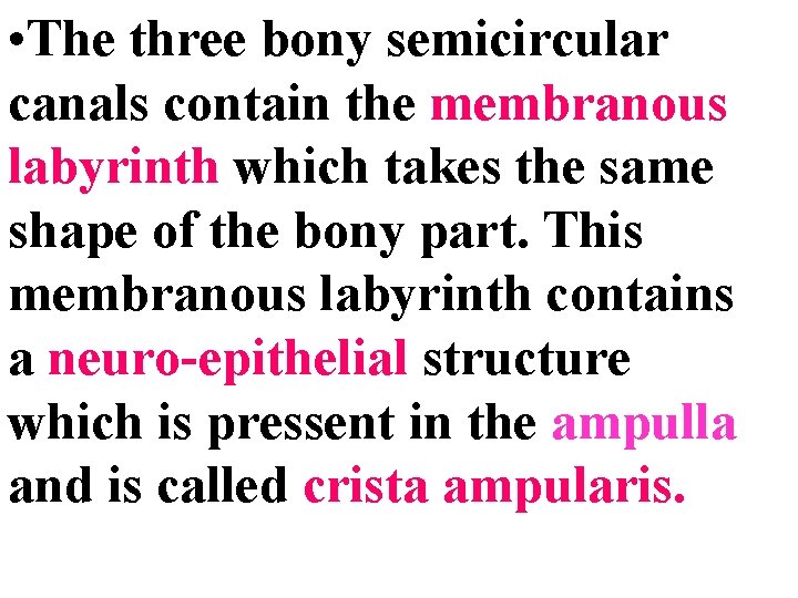  • The three bony semicircular canals contain the membranous labyrinth which takes the