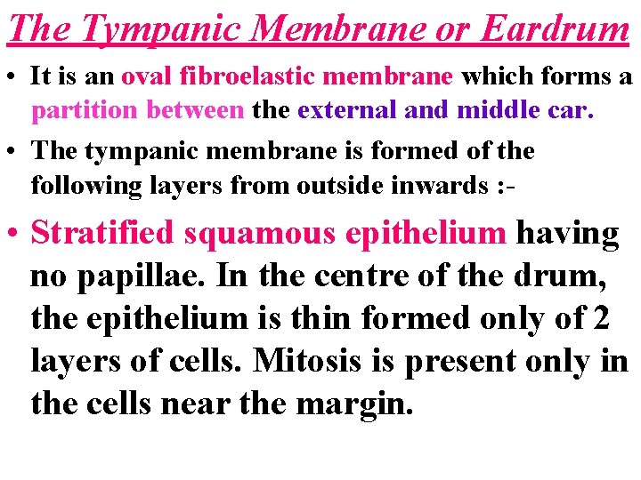 The Tympanic Membrane or Eardrum • It is an oval fibroelastic membrane which forms