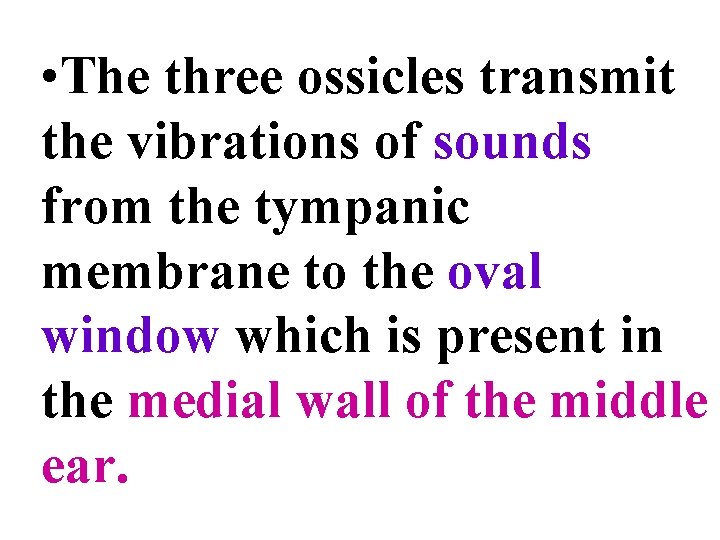  • The three ossicles transmit the vibrations of sounds from the tympanic membrane