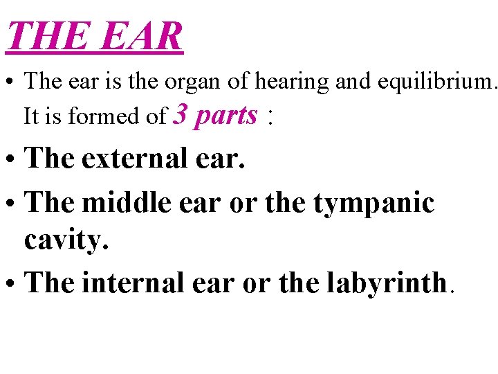 THE EAR • The ear is the organ of hearing and equilibrium. It is