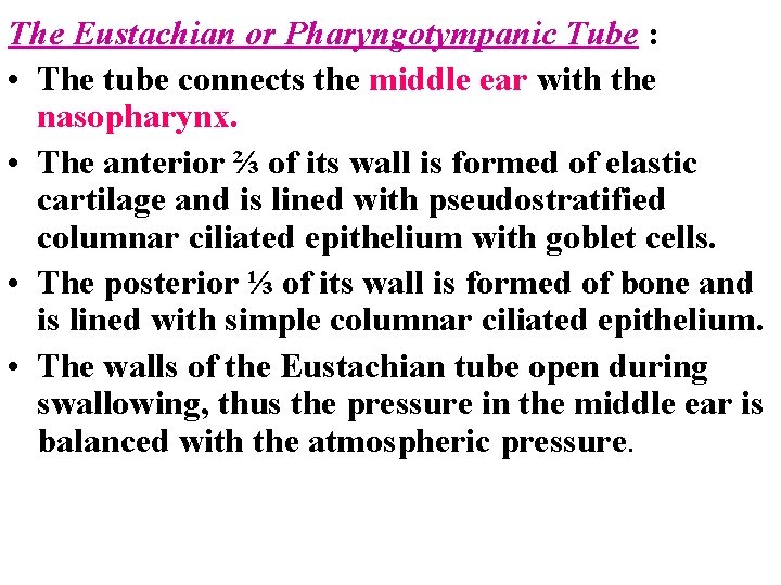 The Eustachian or Pharyngotympanic Tube : • The tube connects the middle ear with