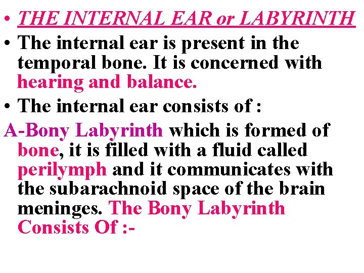  • THE INTERNAL EAR or LABYRINTH • The internal ear is present in