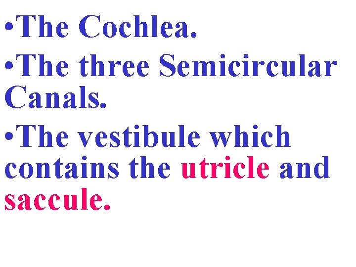  • The Cochlea. • The three Semicircular Canals. • The vestibule which contains