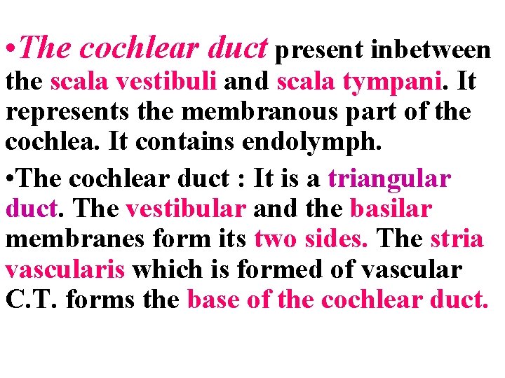  • The cochlear duct present inbetween the scala vestibuli and scala tympani. It