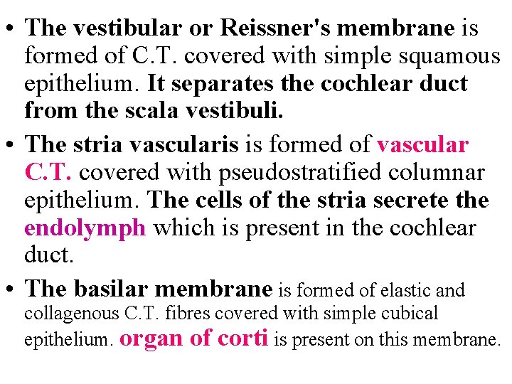  • The vestibular or Reissner's membrane is formed of C. T. covered with