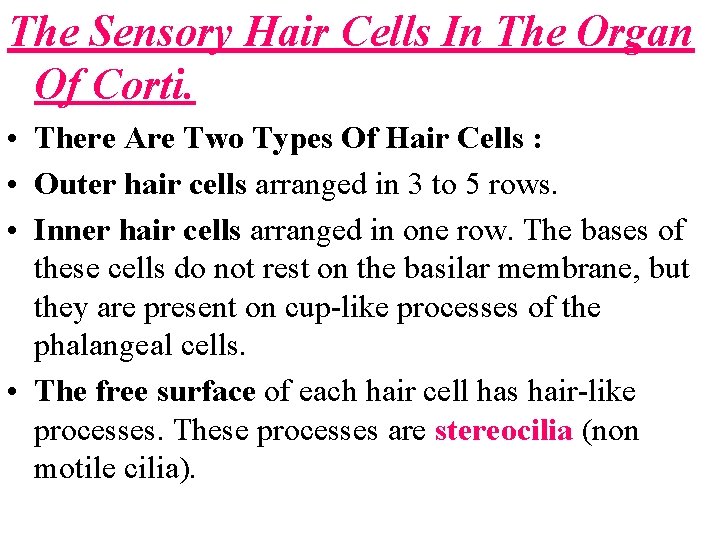 The Sensory Hair Cells In The Organ Of Corti. • There Are Two Types