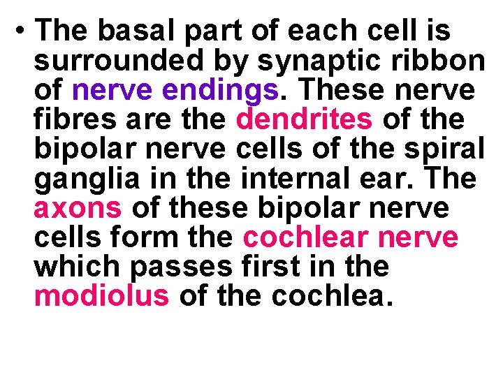  • The basal part of each cell is surrounded by synaptic ribbon of