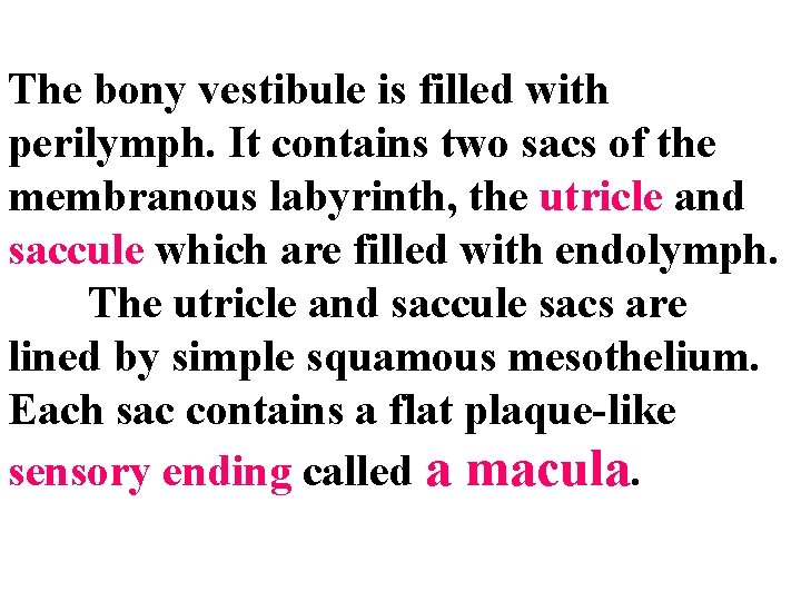 The bony vestibule is filled with perilymph. It contains two sacs of the membranous