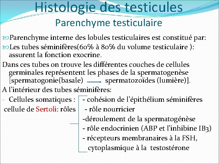 Histologie des testicules Parenchyme testiculaire Parenchyme interne des lobules testiculaires est constitué par: Les