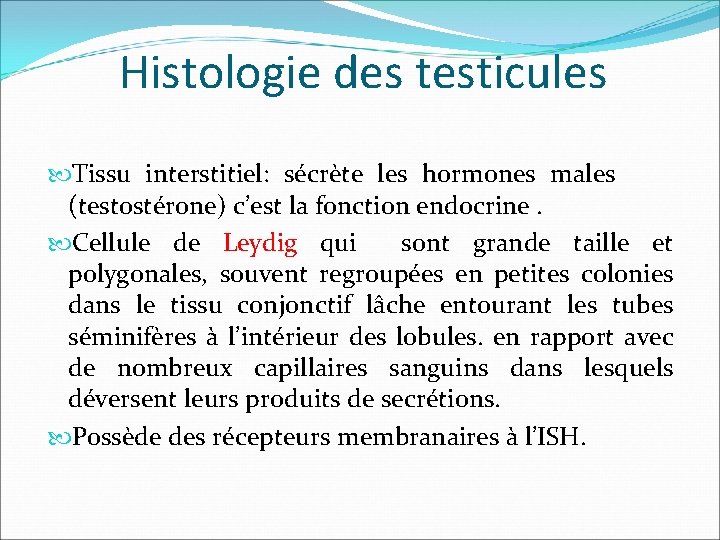 Histologie des testicules Tissu interstitiel: sécrète les hormones males (testostérone) c’est la fonction endocrine.