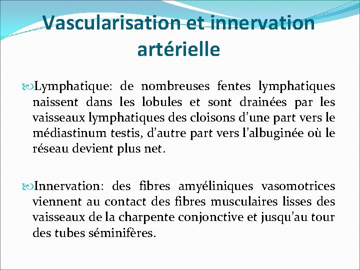 Vascularisation et innervation artérielle Lymphatique: de nombreuses fentes lymphatiques naissent dans les lobules et