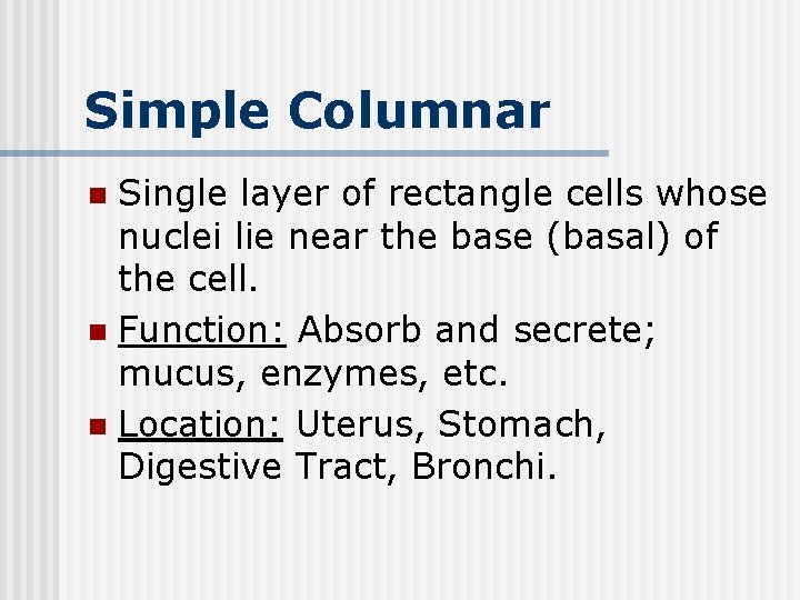 Simple Columnar Single layer of rectangle cells whose nuclei lie near the base (basal)