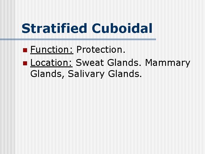Stratified Cuboidal Function: Protection. n Location: Sweat Glands. Mammary Glands, Salivary Glands. n 
