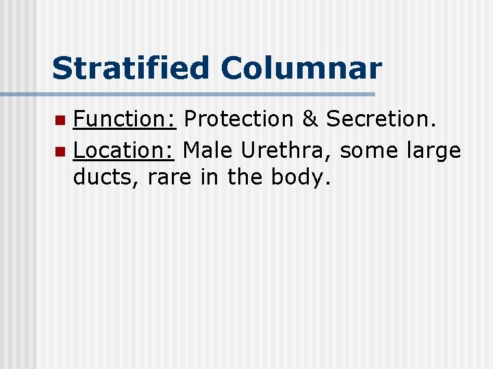 Stratified Columnar Function: Protection & Secretion. n Location: Male Urethra, some large ducts, rare