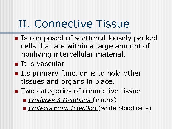 II. Connective Tissue n n Is composed of scattered loosely packed cells that are