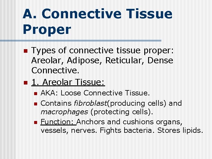 A. Connective Tissue Proper n n Types of connective tissue proper: Areolar, Adipose, Reticular,