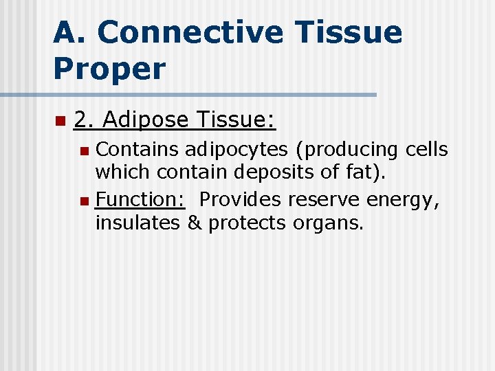 A. Connective Tissue Proper n 2. Adipose Tissue: Contains adipocytes (producing cells which contain