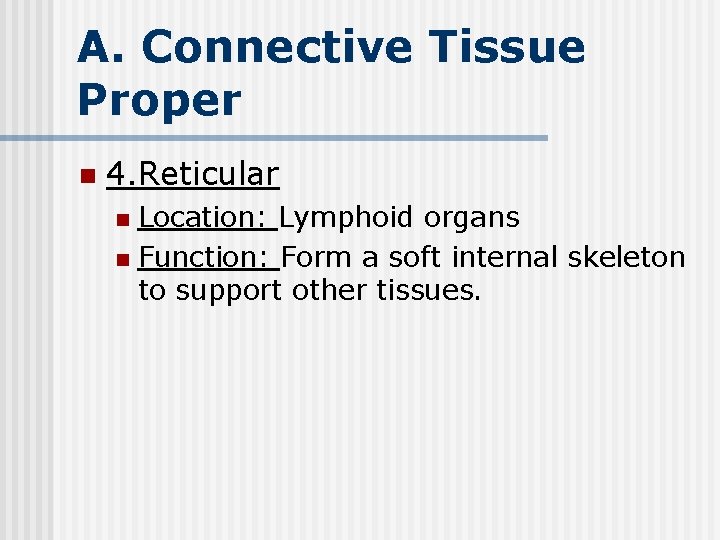 A. Connective Tissue Proper n 4. Reticular Location: Lymphoid organs n Function: Form a