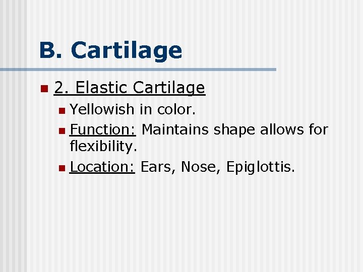 B. Cartilage n 2. Elastic Cartilage Yellowish in color. n Function: Maintains shape allows