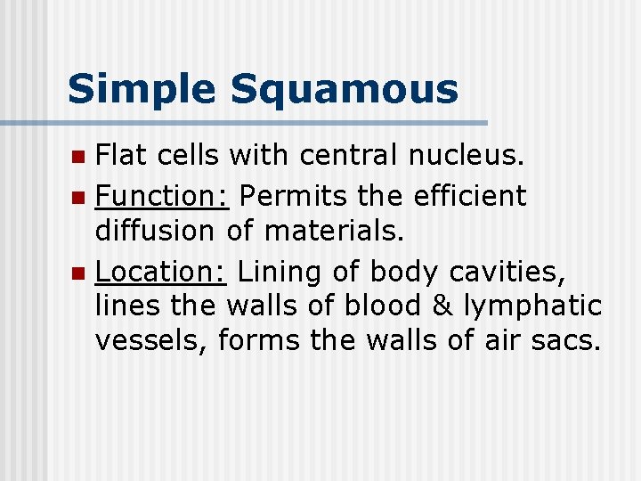 Simple Squamous Flat cells with central nucleus. n Function: Permits the efficient diffusion of
