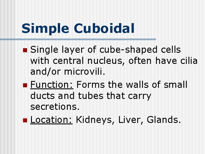 Simple Cuboidal Single layer of cube-shaped cells with central nucleus, often have cilia and/or