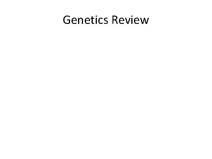Genetics Review 
